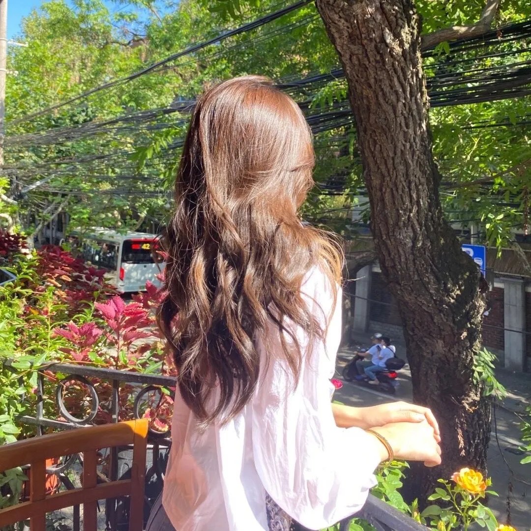 皮阿佐拉：鲨之岁月